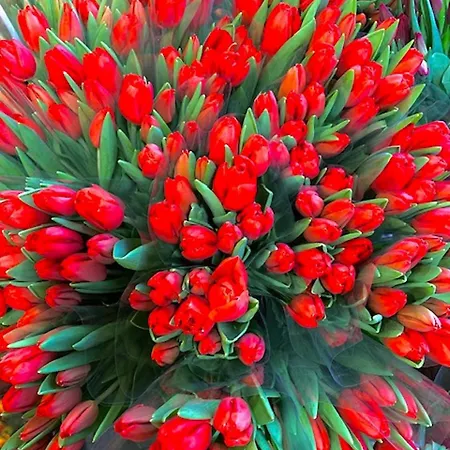 Jo Amsterdam 4* Diemerbrug