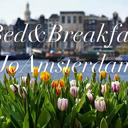 Jo Amsterdam