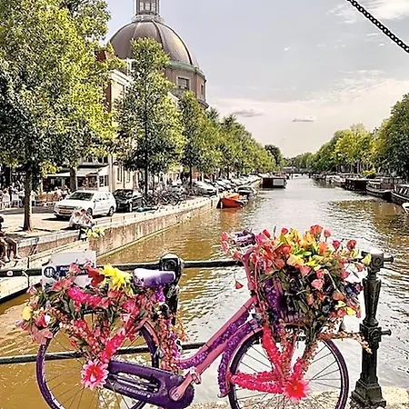 Bed & Breakfast Jo Amsterdam Diemen