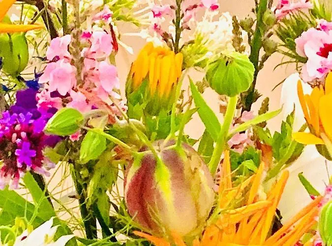 ベッド・アンド・ブレックファスト Jo Amsterdam Diemerbrug