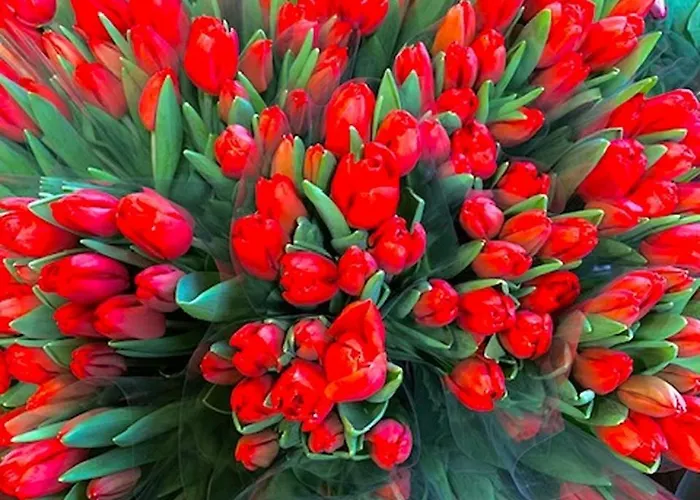 Jo Amsterdam 4* Diemerbrug